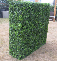 Thumbnail for Large Portable Boxwood Hedges UV Stabilised 1.5m By 1.5m