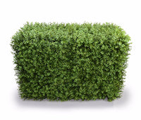 Thumbnail for Deluxe Portable Buxus Hedges UV Stabilised 100cm Long X 55cm High