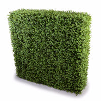 Thumbnail for Deluxe Portable Buxus Hedges UV Stabilised 100cm Long X 100cm High