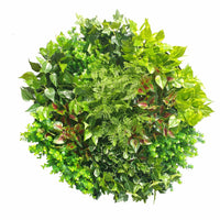 Thumbnail for Artificial Green Wall Disk Art 80cm - Mixed Fern