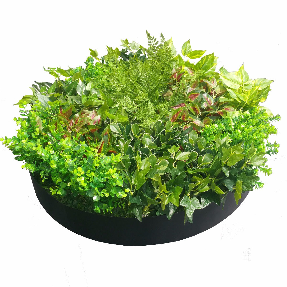 Artificial Green Wall Disk Art 80cm - Mixed Fern