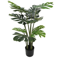 Thumbnail for Split Philodendron (Split Leaf) 120cm