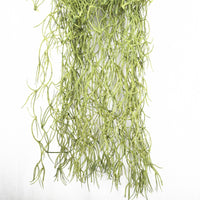 Thumbnail for Artificial Air Plant Spanish Moss - Old Man Beard 60cm