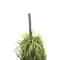 Thumbnail for Artificial Air Plant Spanish Moss - Old Man Beard 60cm