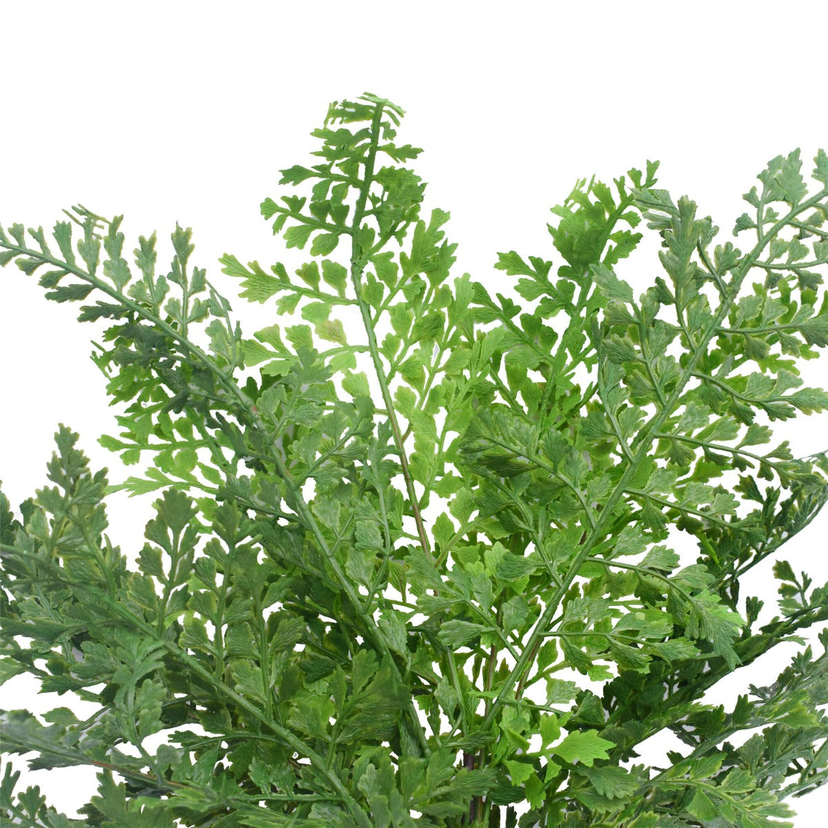 Faux Maden Hair Fern Stem 40cm