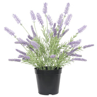 Thumbnail for Artificial Lavender Plant 40cm