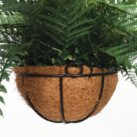 Thumbnail for Potted Fern Hanging Basket (Fresh Green) UV Resistant 55cm