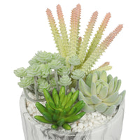 Thumbnail for Potted Artificial Succulent Bowl with Marble Pot 20.5cm