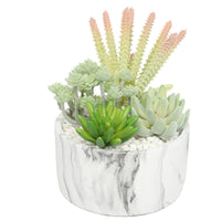 Thumbnail for Potted Artificial Succulent Bowl with Marble Pot 20.5cm