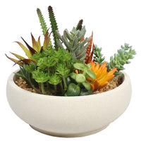 Thumbnail for Potted Artificial Succulent Bowl with Natural Stone Pot 21cm