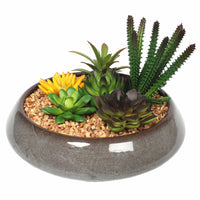 Thumbnail for Potted Artificial Succulents with Round Decorative Bowl 19cm