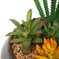 Thumbnail for Potted Artificial Succulents with Round Decorative Bowl 19cm