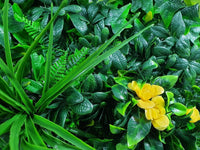 Thumbnail for Yellow Rose Vertical Garden / Green Wall UV Resistant Sample