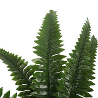 Thumbnail for Artificial Potted Natural Green Boston Fern (50cm high 70cm wide)