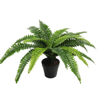 Thumbnail for Artificial Potted Natural Green Boston Fern (50cm high 70cm wide)