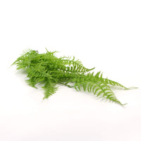 Thumbnail for Hanging Fresh Green Boston Fern UV Resistant 80cm