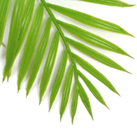 Thumbnail for Hanging Fresh Green Bamboo Leaf Fern UV Resistant 80cm