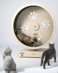 Thumbnail for HONEYPOT CAT® Cat Wheel Cat Exercise Treadmill Detachable Carpet #190211-1