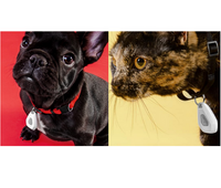 Thumbnail for Mitey Tick Off For Pets Electronic Tick Repeller
