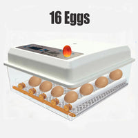 Thumbnail for 16 Egg Incubator Fully Automatic Digital Thermostat Chicken Eggs Poultry