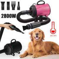 Thumbnail for 2800W Dog Dryer High Velocity Pet Dog Pet Blow Dryer Adjustable Speed 4 Nozzles