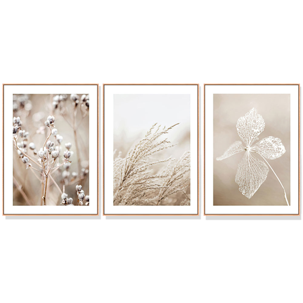 40cmx60cm Dried Flower 3 Sets Wood Frame Canvas Wall Art | Modern Home Decor