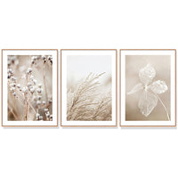 Thumbnail for 40cmx60cm Dried Flower 3 Sets Wood Frame Canvas Wall Art | Modern Home Decor