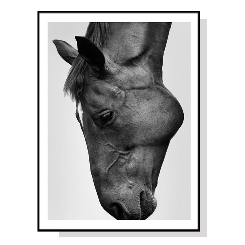 50cmx70cm Modern Black Horse Black Frame Canvas Wall Art