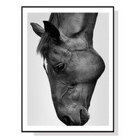 Thumbnail for 50cmx70cm Modern Black Horse Black Frame Canvas Wall Art