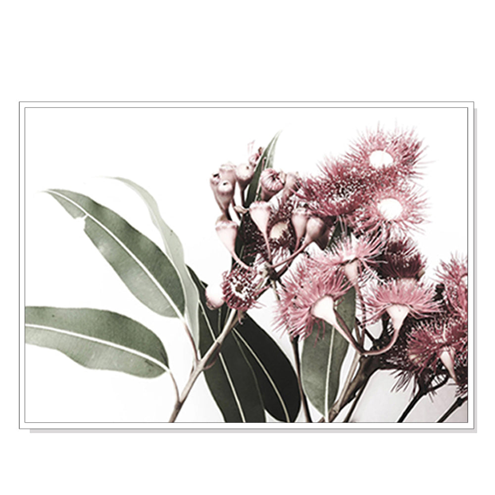 50cmx70cm Eucalyptus in Bloom White Frame Canvas Wall Art