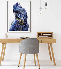 Thumbnail for 50cm x 70cm Black Cockatoo A Canvas Wall Art: Majestic Bird Portrait with Sleek Black Frame for Nature-Inspired Home Elegance