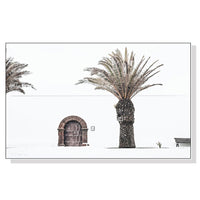 Thumbnail for 50cmx70cm European Palm Tree White Frame Canvas Wall Art