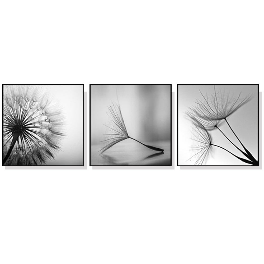 50cmx50cm Botanical Dandelions 3 Sets Black Frame Canvas Wall Art - A Charming and Elegant Piece of Art for Your Home