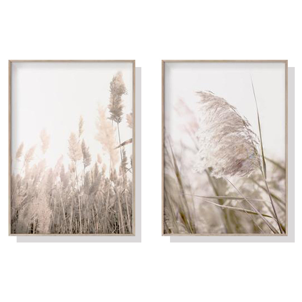 40cmx60cm Pampas Grass Canvas Wall Art Set of 2 - Wood Frame - A Modern and Boho Way to Add a Touch of Nature to Your Home