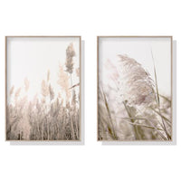 Thumbnail for 40cmx60cm Pampas Grass Canvas Wall Art Set of 2 - Wood Frame - A Modern and Boho Way to Add a Touch of Nature to Your Home