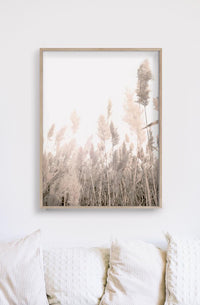 Thumbnail for 50cmx70cm Pampas Grass 2 Sets Wood Frame Canvas Wall Art