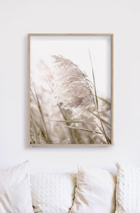 Thumbnail for 60cmx90cm Pampas Grass 2 Sets Wood Frame Canvas Wall Art