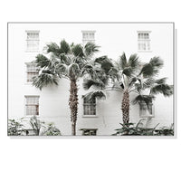 Thumbnail for 50cmx70cm Palm Tree White Frame Canvas Wall Art