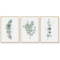 Thumbnail for 40cmx60cm Eucalyptus Plant 3 Sets Gold Frame Canvas Wall Art