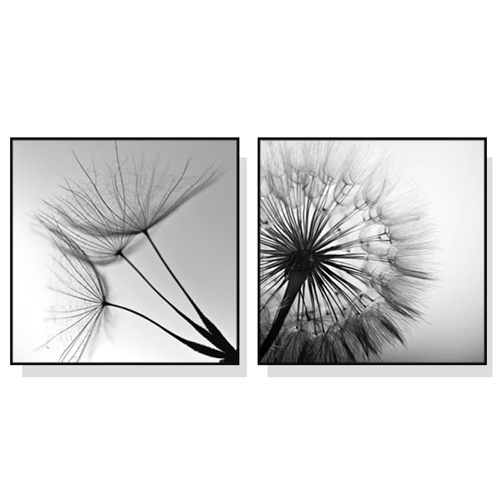 50cmx50cm Black and White Dandelion 2 Sets Black Frame Canvas Wall Art - A Charming and Elegant Piece of Art for Your Home