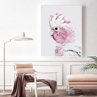 Thumbnail for 50cmx70cm Pink Galah White Frame Canvas Wall Art