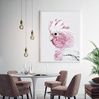 Thumbnail for 50cmx70cm Pink Galah White Frame Canvas Wall Art