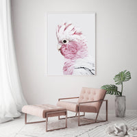 Thumbnail for 50cmx70cm Pink Galah White Frame Canvas Wall Art