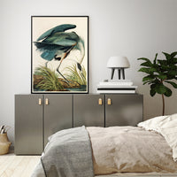 Thumbnail for 50cmx70cm Great Blue Heron By John James Audubon Black Frame Canvas Wall Art