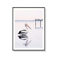 Thumbnail for 50cmx70cm Pelican Black Frame Canvas Wall Art