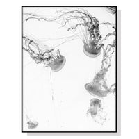 Thumbnail for 50cmx70cm Jellyfish Black Frame Canvas Wall Art