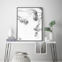 Thumbnail for 50cmx70cm Jellyfish Black Frame Canvas Wall Art