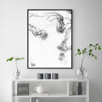 Thumbnail for 50cmx70cm Jellyfish Black Frame Canvas Wall Art