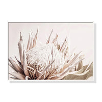 Thumbnail for 50cmx70cm Pure Protea II White Frame Canvas Wall Art