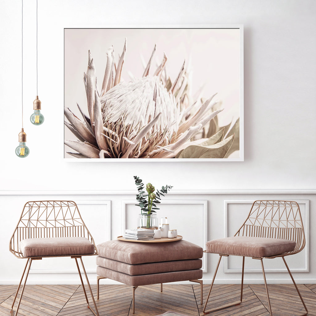 50cmx70cm Pure Protea II White Frame Canvas Wall Art